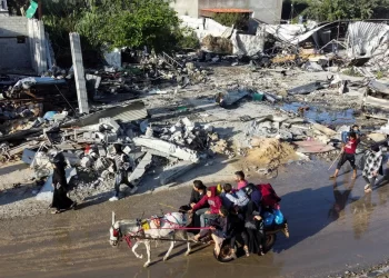 Trégua permite a volta de Palestinos para casa