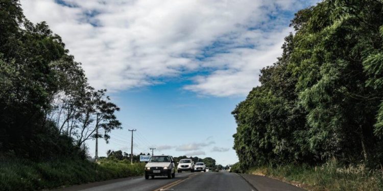 Conheça as rodovias de SC com mais registros de mortes em 2023