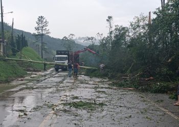 Temporal causa quedas de árvores e destelhamentos de casas no interior de São João Batista