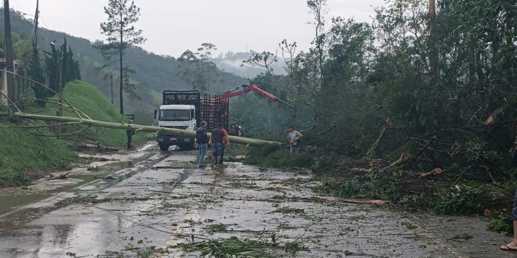 Temporal causa quedas de árvores e destelhamentos de casas no interior de São João Batista