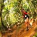 Nova Trento sedia a ultramaratona Sicoob Mons Ultra Trail no fim de semana