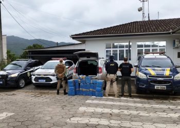 Ação conjunta PRF, PM e Civil apreende mais de 300 quilos de maconha no sul do estado