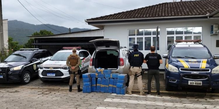 Ação conjunta PRF, PM e Civil apreende mais de 300 quilos de maconha no sul do estado