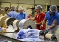 Pesquisa: Santa Catarina mantém a terceira menor taxa de desemprego no Brasil