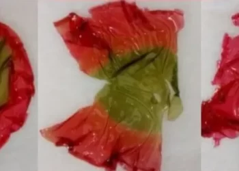 Inovação: UFSC desenvolve embalagem que sinaliza alimento deteriorado