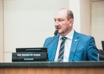 Presidente avalia ano na Alesc: foco em pautas importantes para os catarinenses