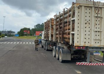 Estrada de SC chama atenção por não registrar acidentes com mortes há mais de um ano