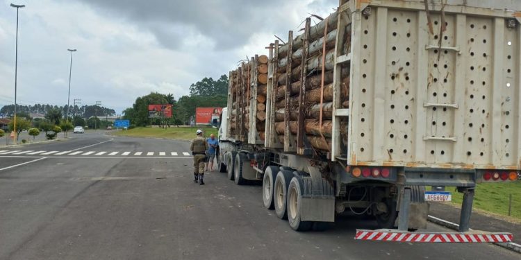 Estrada de SC chama atenção por não registrar acidentes com mortes há mais de um ano