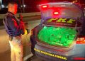 PRF localiza 92 quilos de maconha em carro acidentado na BR-101 em Tijucas