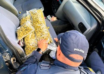 Homem foge de abordagem mas é preso com maconha na BR-101 em Laguna