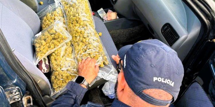Homem foge de abordagem mas é preso com maconha na BR-101 em Laguna