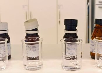 Pesquisa pioneira revela o potencial dos óleos naturais no combate à dengue em Santa Catarina