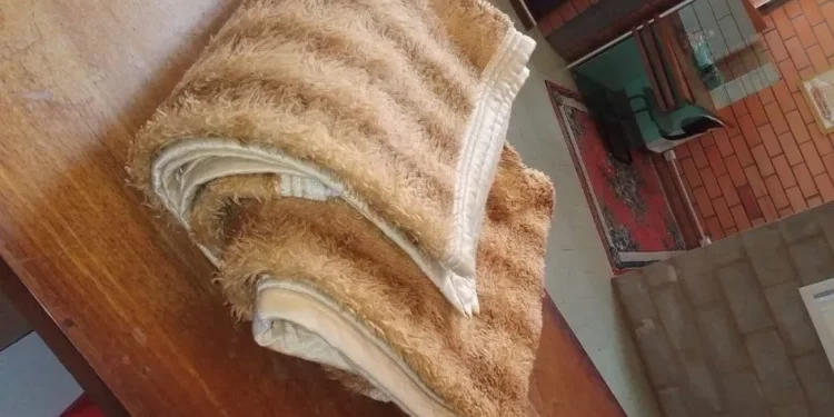 Devolução Inusitada: Homem Retorna Cobertor de Hotel Após 30 Anos em SC