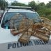 Após denúncias Policia Militar encontra quatro pássaros silvestres sem anilha de identificação