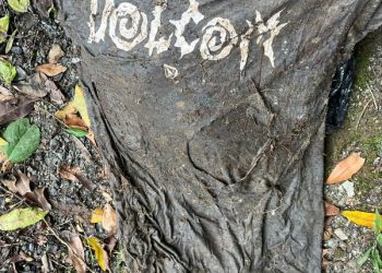 Homem encontra ossada humana em um matagal, no Bairro Barra em Balneário Camboriú