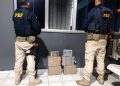 42 kg de cocaína são apreendidos pela PRF em Imbituba, na BR-101
