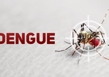 Aumento expressivo de casos de dengue nas primeiras semanas de 2024 gera preocupação em Santa Catarina