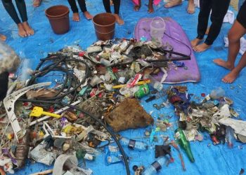 Mutirão na Praia do Matadeiro, em Florianópolis, coleta 25 quilos de plástico