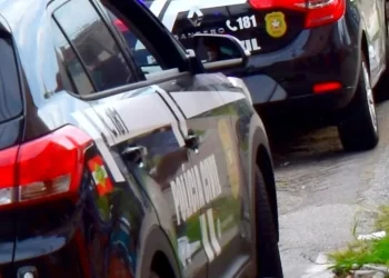 SC marca o menor índice de furtos e roubos de veículos em quatro anos