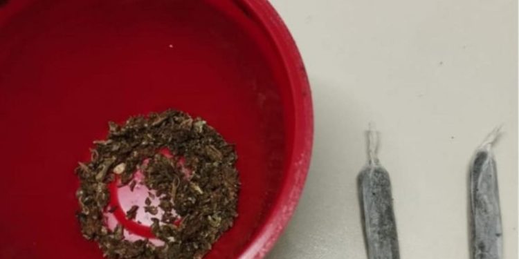 Aluno é conduzido à delegacia por posse de drogas no interior de instituição de ensino em Nova Trento