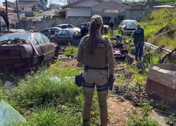 Ações de combate ao Aedes aegypti no Estado são intensificadas pela Polícia Militar