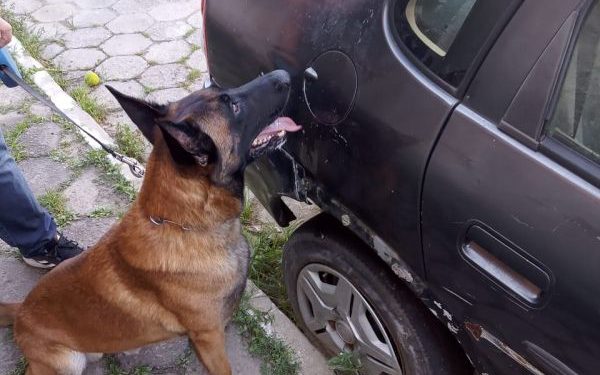 DIC de Itajaí prende três suspeitos por tráfico de drogas no bairro cordeiros