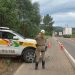 Polícia Militar apresenta balanço final da Operação Alegria 2024 nas rodovias estaduais