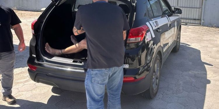 Polícia Civil prende em flagrante autor de violência doméstica e familiar contra mulher