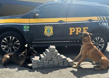 Homem foge da fiscalização da PRF no Paraná e é preso com cocaína em Santa Catarina