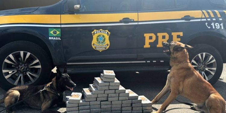 Homem foge da fiscalização da PRF no Paraná e é preso com cocaína em Santa Catarina