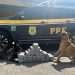 Homem foge da fiscalização da PRF no Paraná e é preso com cocaína em Santa Catarina