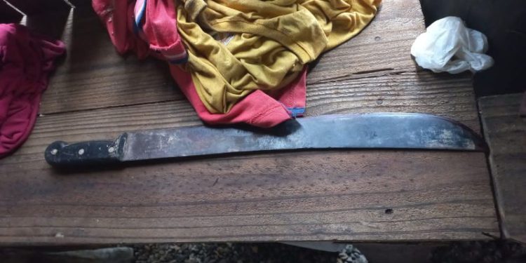 Homem fica gravemente ferido após ser agredido com golpes de facão em Nova Trento