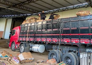 Polícia Federal combate grupo criminoso especializado na importação clandestina de baterias estrangeiras e lavagem de dinheiro