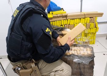 PRF apreende 185 kg de maconha na BR-101 em Porto Belo