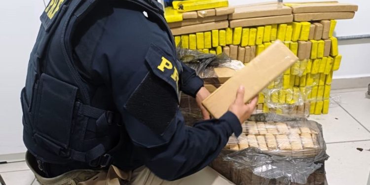 PRF apreende 185 kg de maconha na BR-101 em Porto Belo