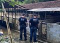 Polícia Civil, Ministério Público e Polícia Científica de Joinville localizam canil clandestino