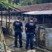 Polícia Civil, Ministério Público e Polícia Científica de Joinville localizam canil clandestino