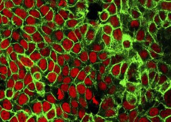 Estudo aponta queda de até 37% na taxa de mortalidade por câncer ao longo de 25 anos no Reino Unido