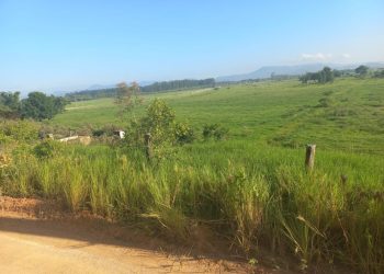 Segundo corpo é encontrado em Tijucas em menos de 48 horas