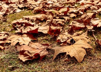 Início do outono traz previsão de eventos climáticos extremos com chuvas intensas em Santa Catarina