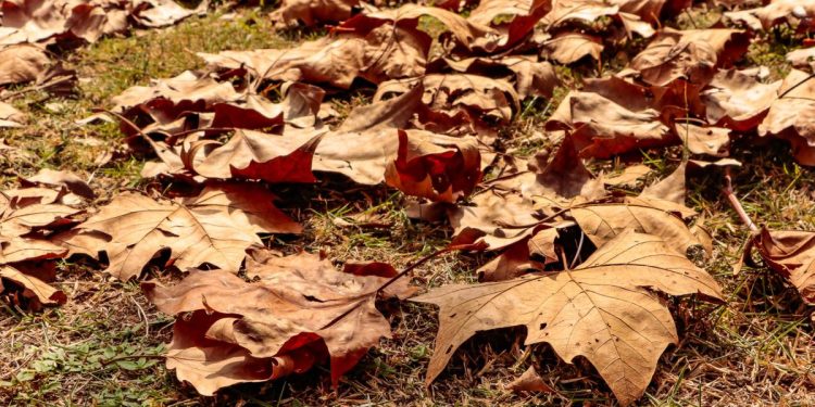 Início do outono traz previsão de eventos climáticos extremos com chuvas intensas em Santa Catarina