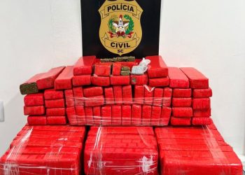 Polícia Civil prende homem por tráfico de drogas