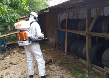 Secretaria de Saúde inicia aplicação de fumacê contra o mosquito da dengue em Nova Trento