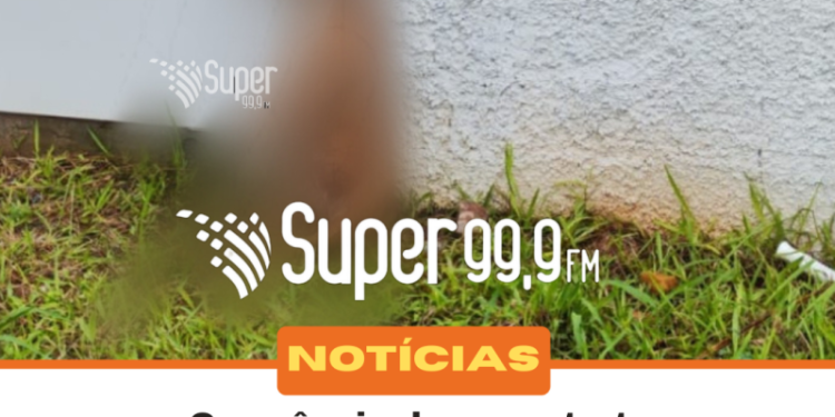 Moradores acionam a polícia militar após encontrar cachorro enforcado no Tajuba 1