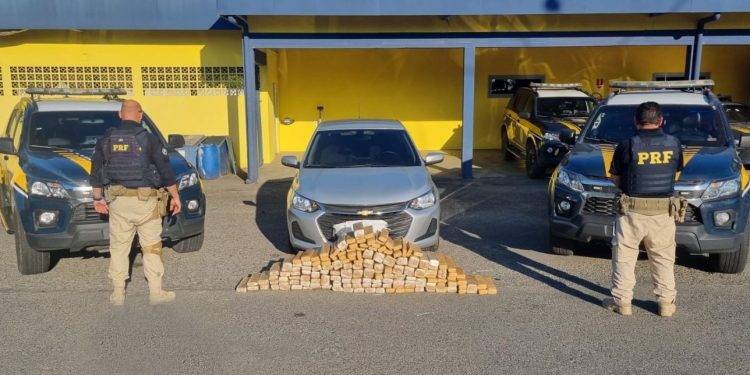 PRF localiza 143 kg de maconha na BR-101 em Joinville