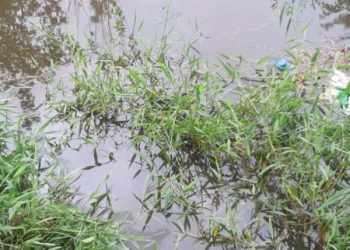 Mulher morre após carro cair na lagoa em Major Gercino