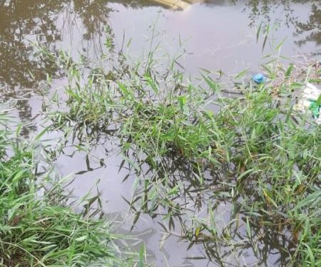 Mulher morre após carro cair na lagoa em Major Gercino