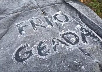 Santa Catarina Registra Primeira Temperatura Negativa do Ano com Geada
