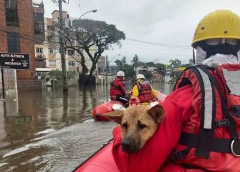 Lages adotará município do RS