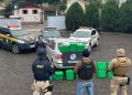 Carro carregado de maconha tenta fugir, mas é interceptado no sul do estado